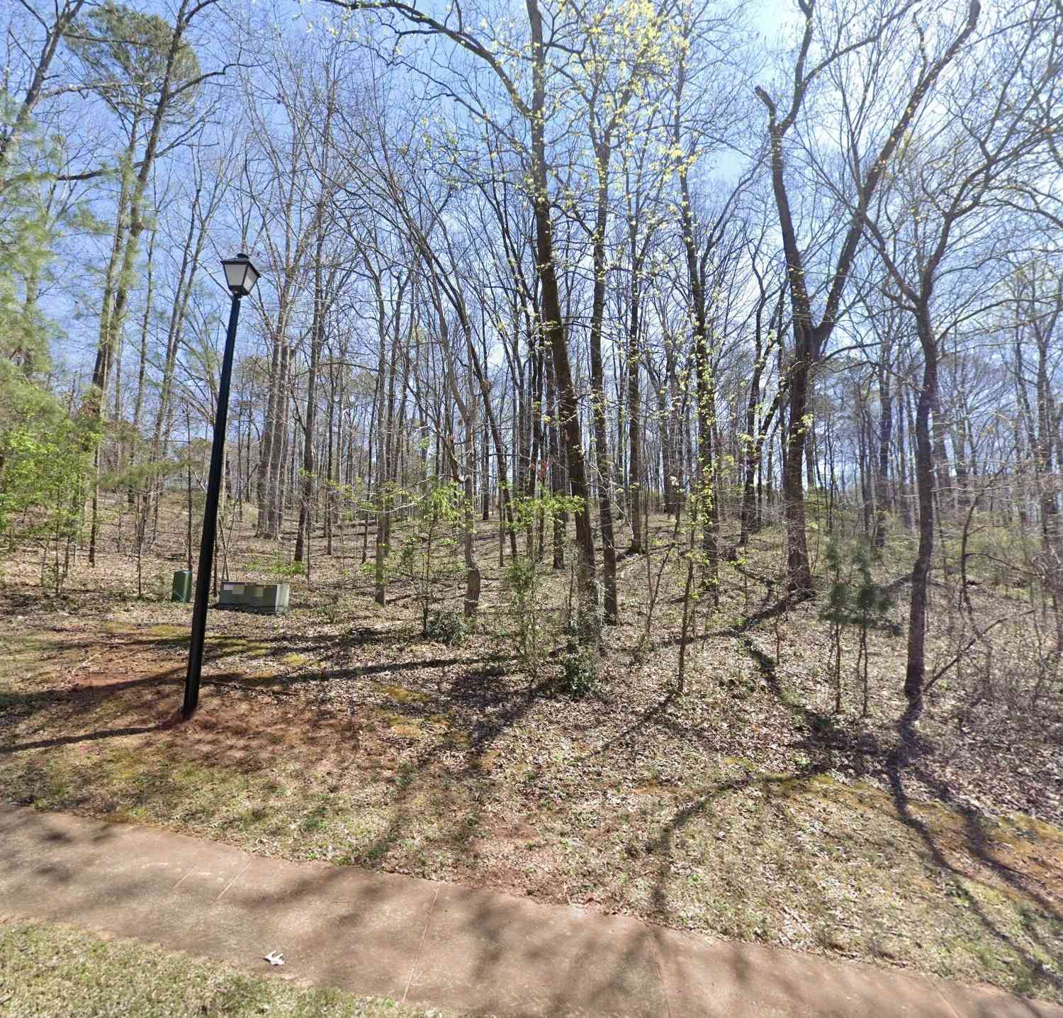 Vacant Land For Sale - 104 Hidden Branches Lane<br/> Troup County, Lagrange, GA 30240