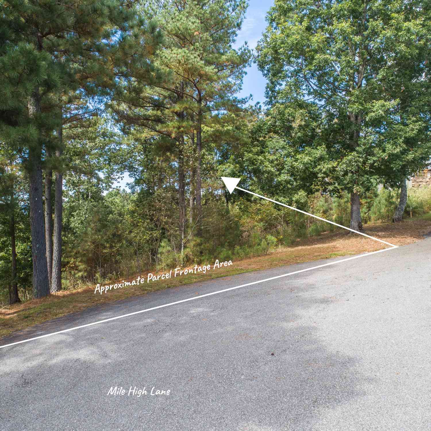 Vacant Land For Sale - LOT 14 Mile High Lane<br/> Blairsville, GA 30512