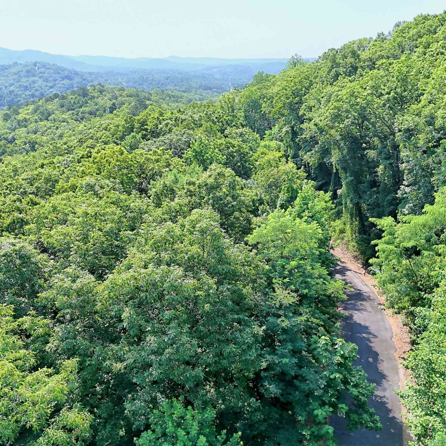 Vacant Land For Sale - King Mountain Dr<br/> Clayton, GA 30525