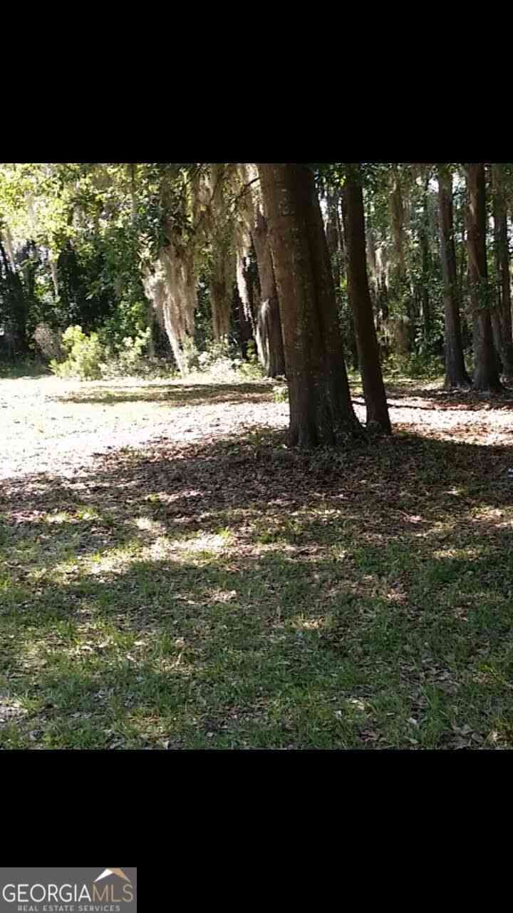 Vacant Land For Sale - 221 Turtle Drive<br/> Bryan County, Richmond Hill, GA 31324