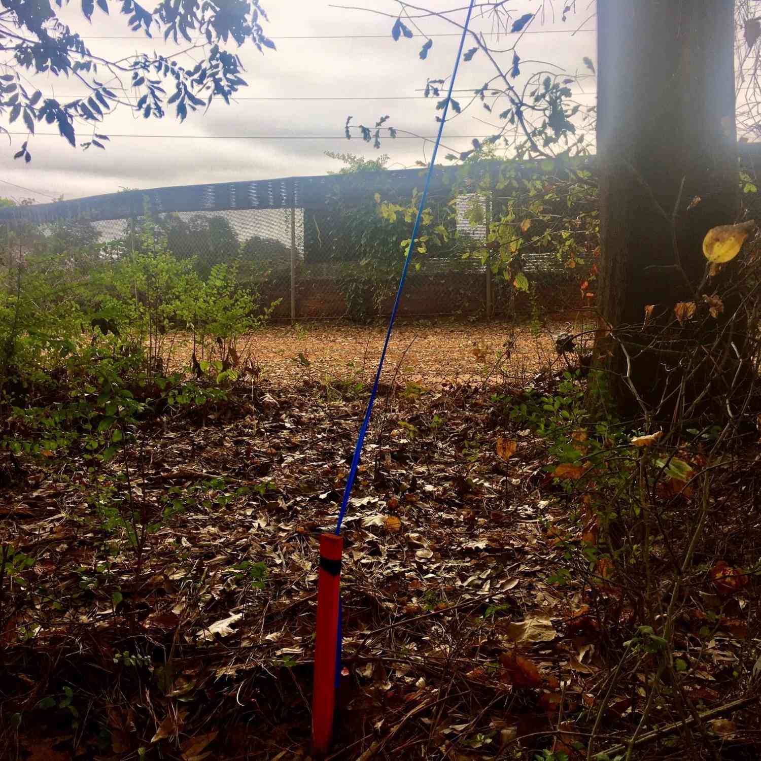 Vacant Land For Sale - Hwy 17 Alt<br/> Toccoa, GA 30577