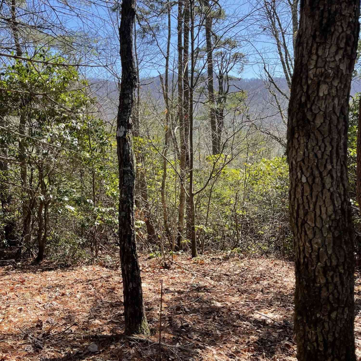 Vacant Land For Sale - Chesada Lane<br/> Blairsville, GA 30512