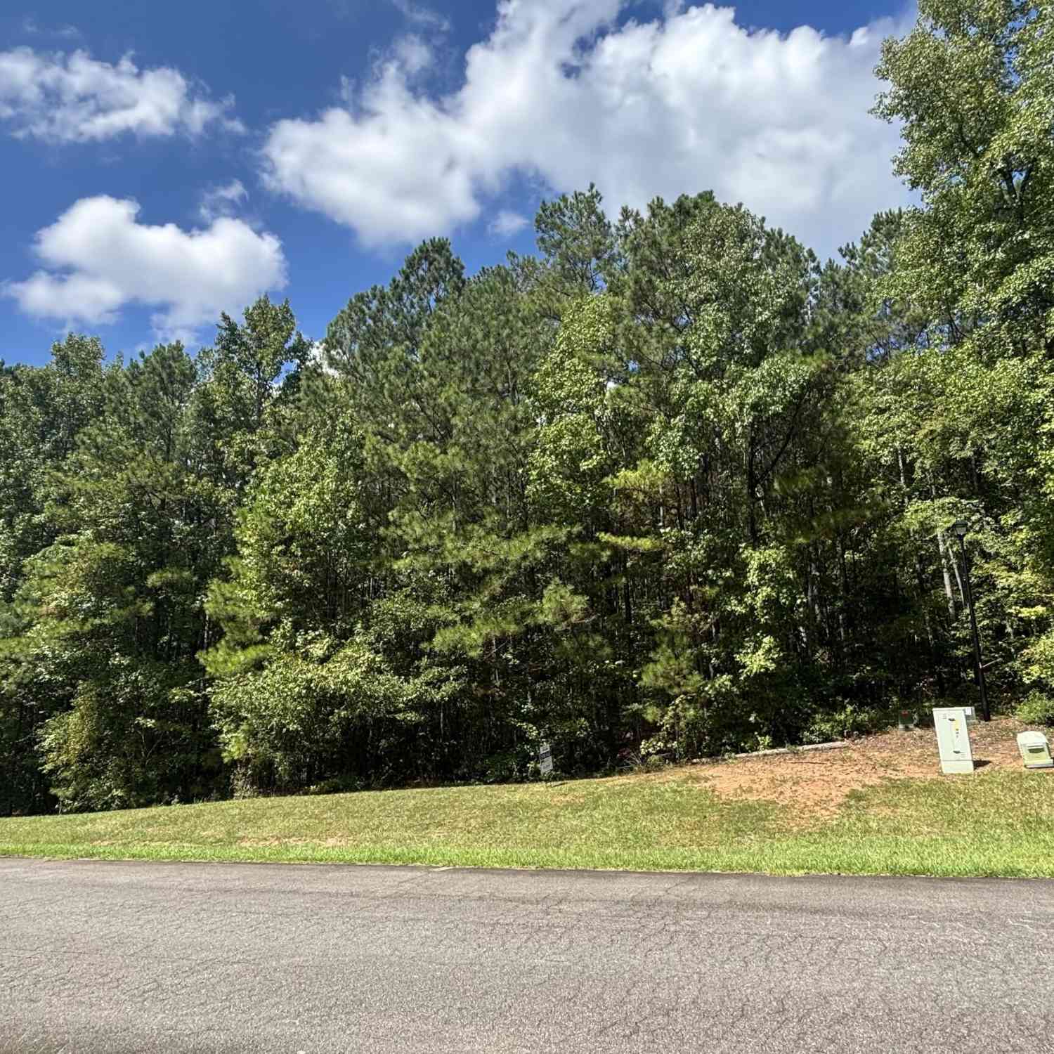 Vacant Land For Sale - 488 Willow Lake Drive<br/> Baldwin County, Milledgeville, GA 31061