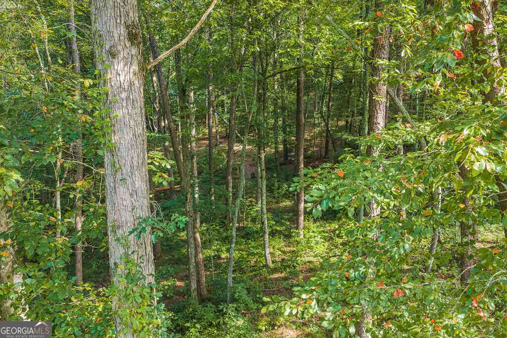 Vacant Land For Sale - 186 Pinnacle Drive<br/> Ellijay, GA 30540