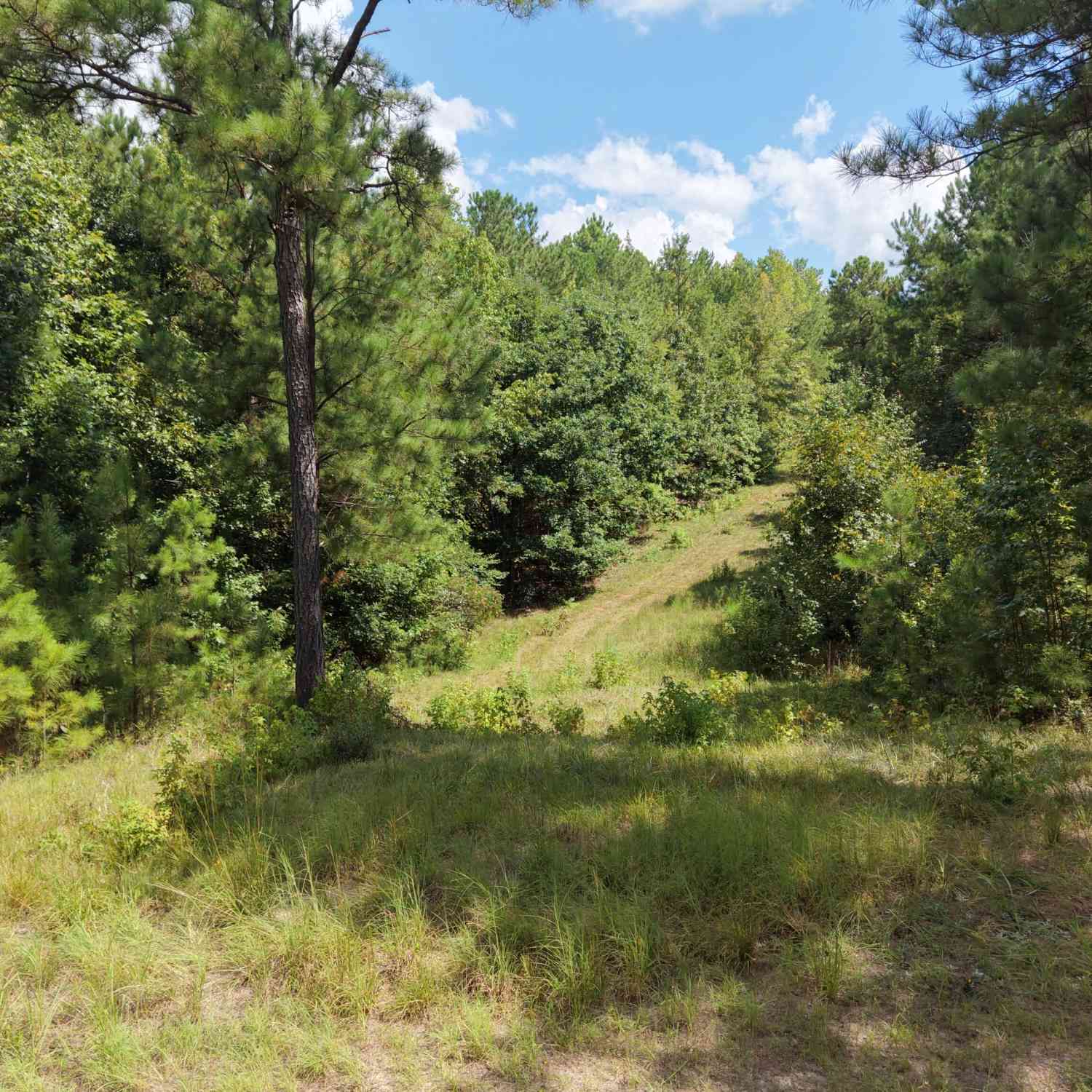 Vacant Land For Sale - 490 Sparta Highway<br/> Baldwin County, Milledgeville, GA 31061