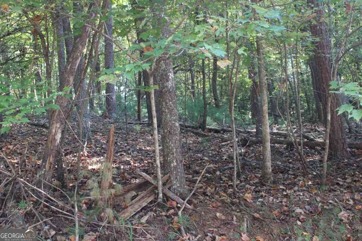 Vacant Land For Sale - LOT 546 Satsuma North Court<br/> Ellijay, GA 30540