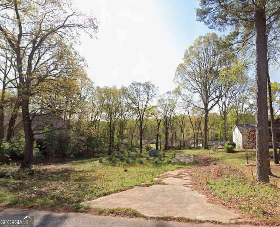 Vacant Land For Sale - 158 Oakland Boulevard<br/> Henry County, Stockbridge, GA 30281