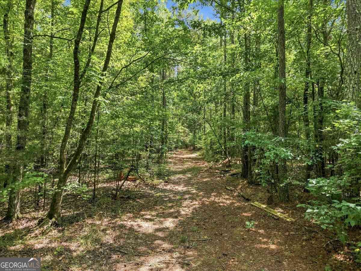 Vacant Land For Sale - Cherokee Road<br/> Elberton, GA 30635