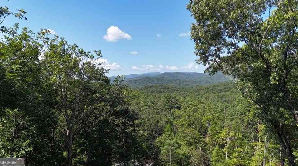 Vacant Land For Sale - LOTS 12 &14 Crows Nest<br/> Clayton, GA 30525