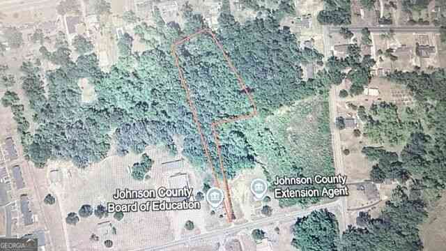 Vacant Land For Sale - Herschel Walker Drive<br/> Johnson County, Wrightsville, GA 31096