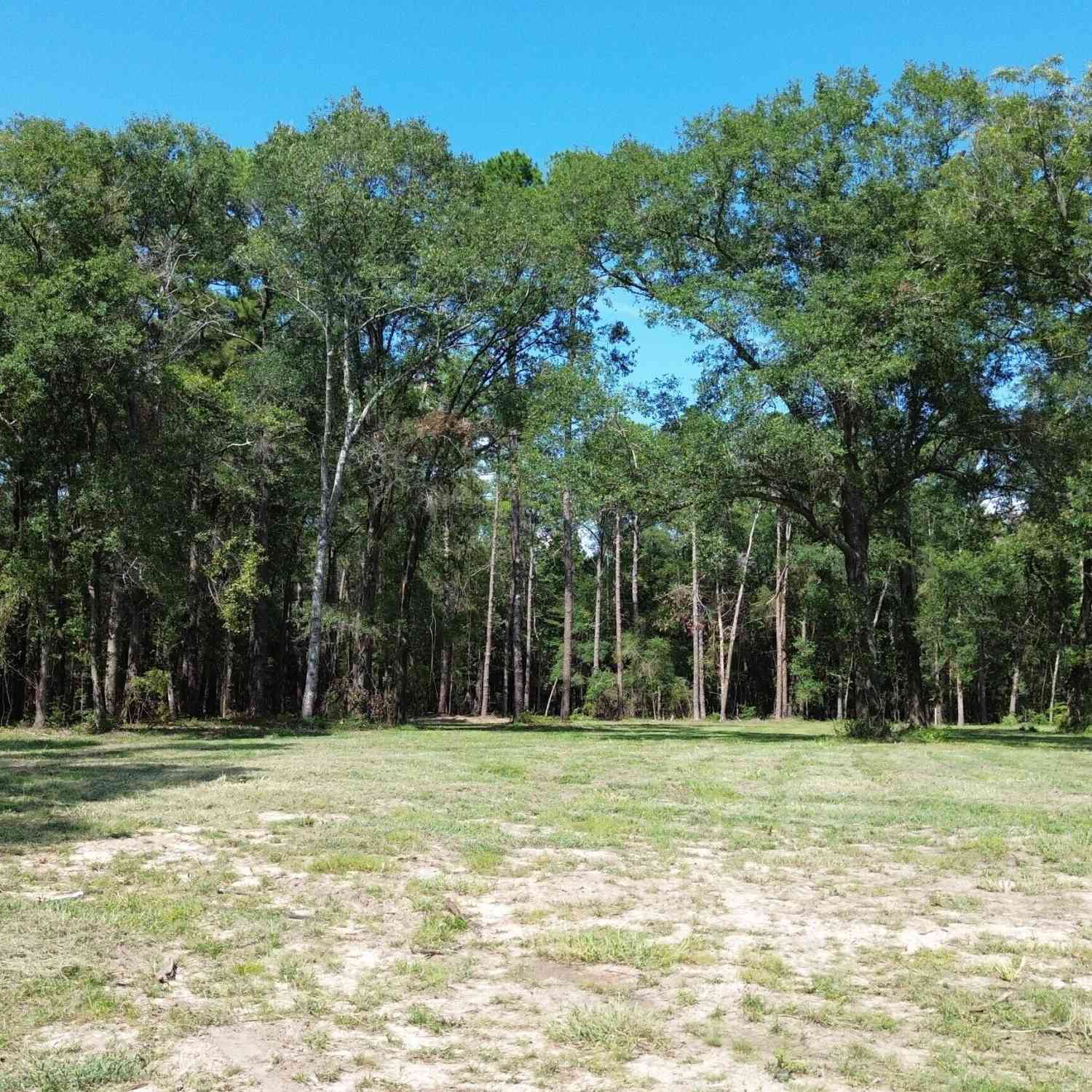 Vacant Land For Sale - 1046 Homer Bunch Road<br/> Statesboro, GA 30461