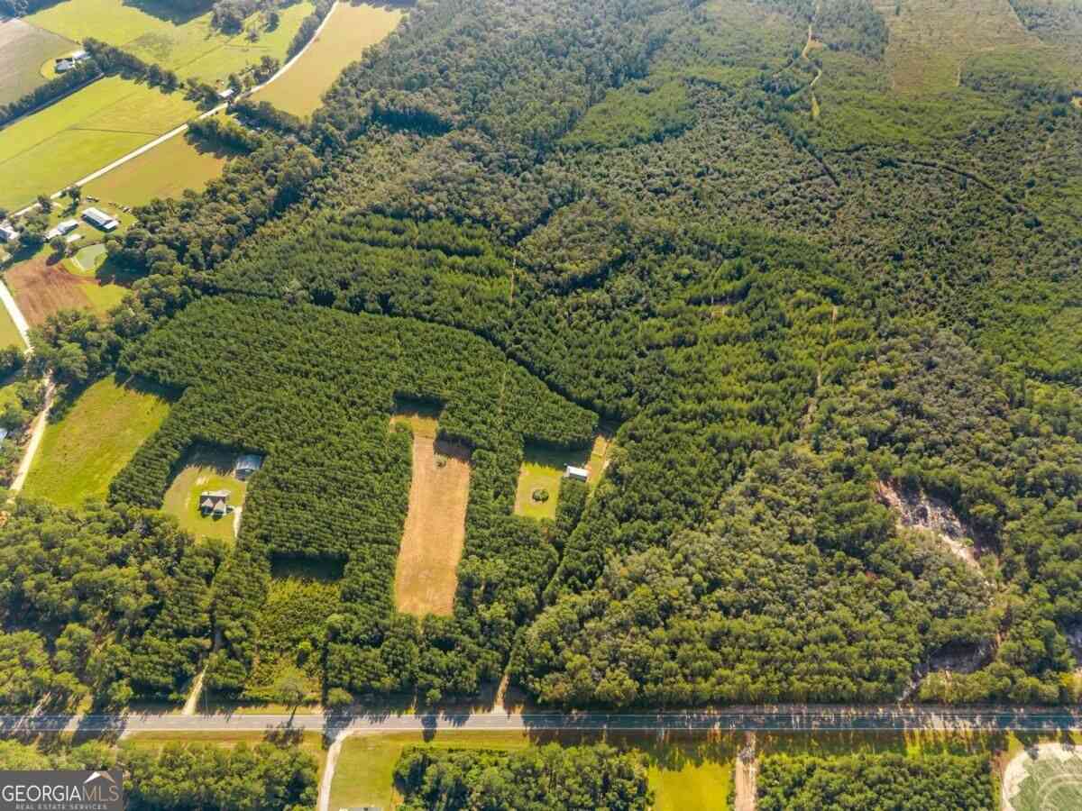 Vacant Land For Sale - Hwy 67<br/> Pembroke, GA 31321