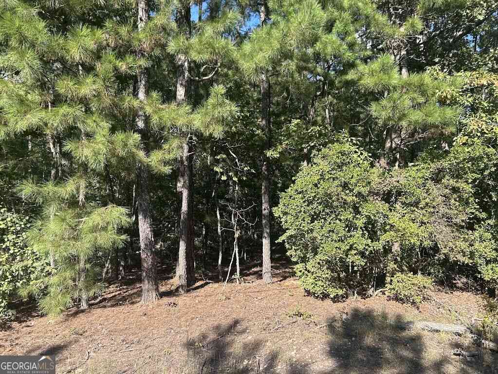 Vacant Land For Sale - Springer Road<br/> Carroll County, Whitesburg, GA 30185