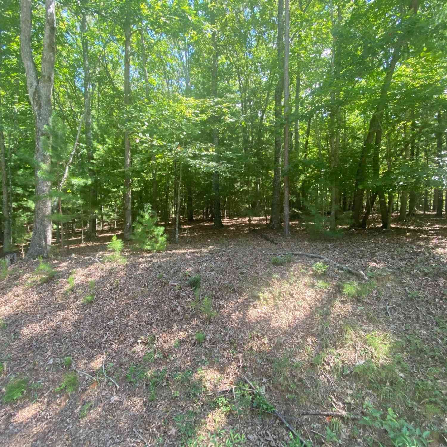 Vacant Land For Sale - 6.93 AC Timber Ridge Road<br/> Blairsville, GA 30512