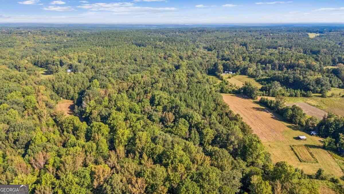 Vacant Land For Sale - Elberton Road<br/> Carlton, GA 30627