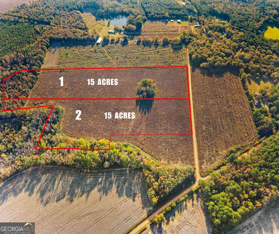 Vacant Land For Sale - Waters Lane<br/> Evans County, Claxton, GA 30417