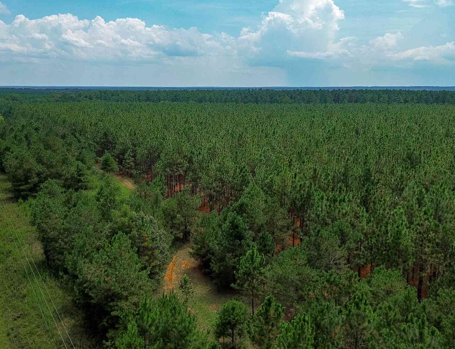 Vacant Land For Sale - 4570 Spanns Mill Road<br/> Webster County, Preston, GA 31824