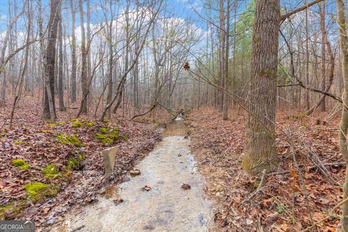 Vacant Land For Sale - 13 ACRES Percheron Drive<br/> Dalton, GA 30720
