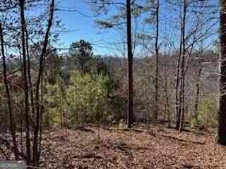 Vacant Land For Sale - Mile High Ln<br/> Blairsville, GA 30512