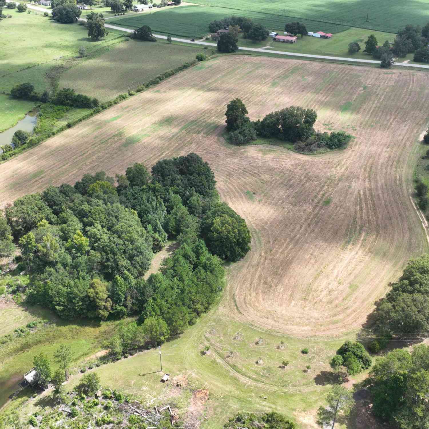 Vacant Land For Sale - 2880 Ga Highway 15 S<br/> Washington County, Tennille, GA 31089