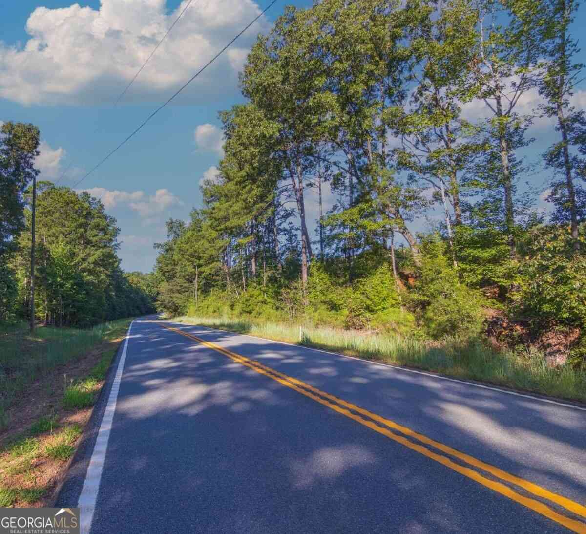 Vacant Land For Sale - TRACT 2 Highway 0036<br/> Woodland, GA 31836