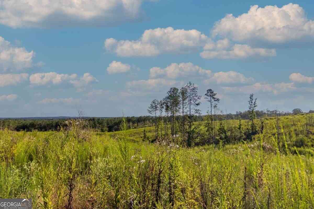 Vacant Land For Sale - TRACT 3 Highway 0036<br/> Woodland, GA 31836