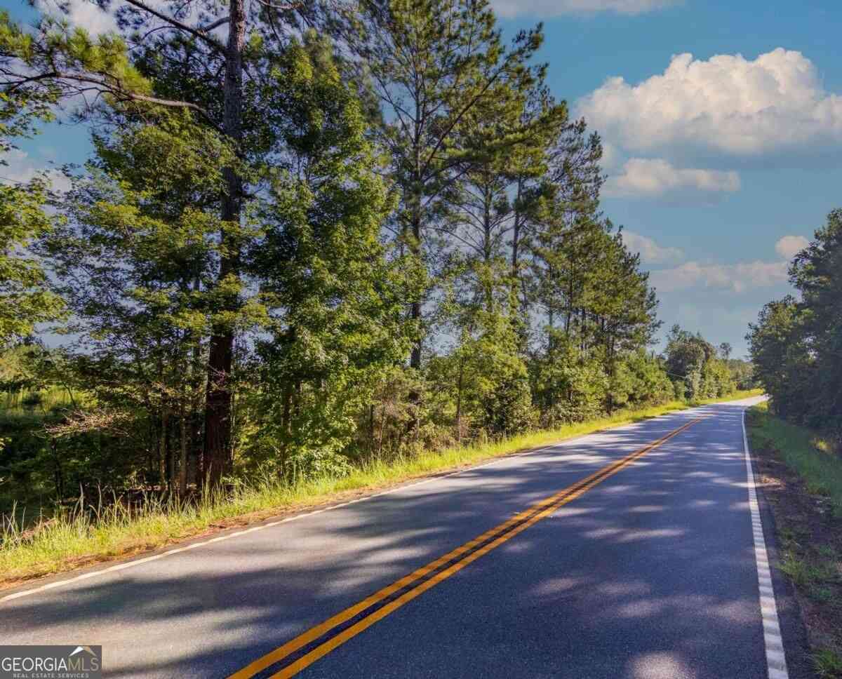 Vacant Land For Sale - TRACT 4 Highway 0036<br/> Woodland, GA 31836