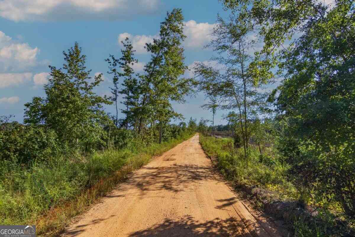 Vacant Land For Sale - TRACT 5 Carlisle Gap Road<br/> Woodland, GA 31836