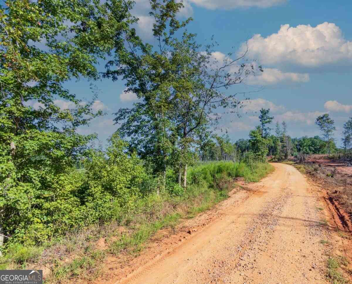Vacant Land For Sale - TRACT 6 Carlisle Gap Road<br/> Woodland, GA 31836