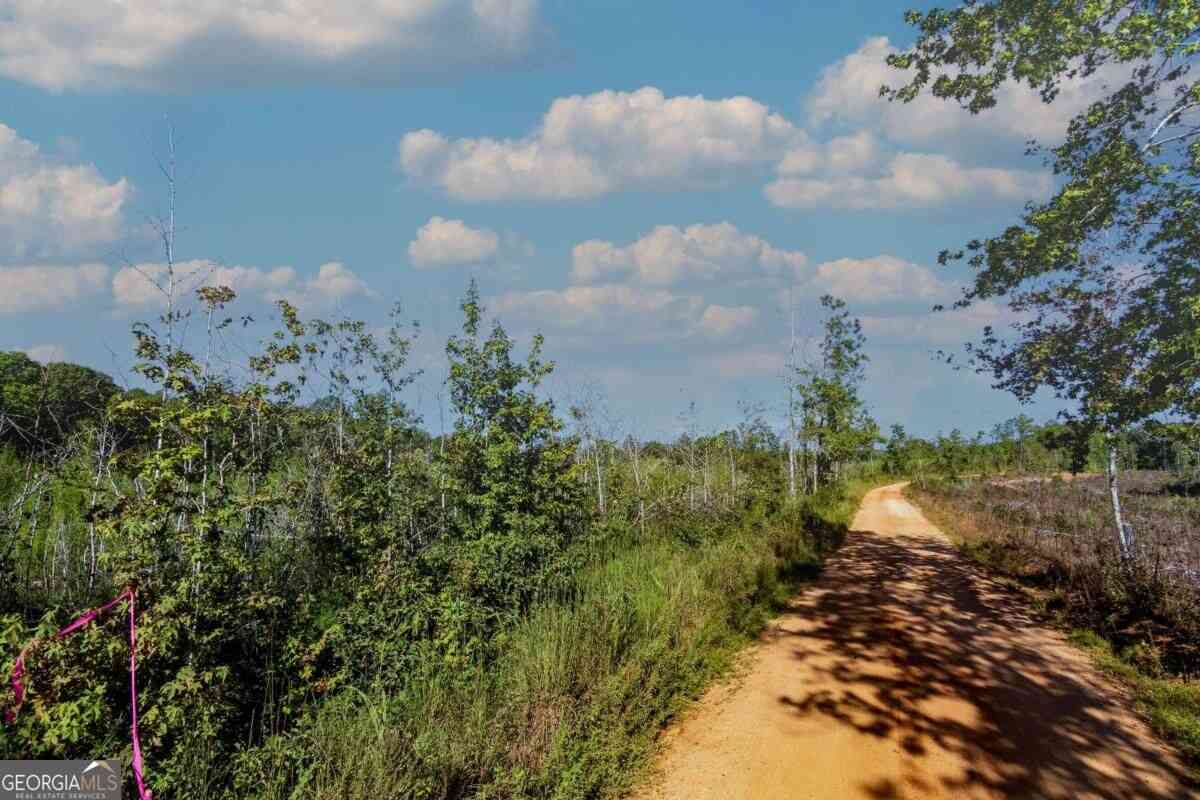 Vacant Land For Sale - TRACT 7 Carlisle Gap Road<br/> Woodland, GA 31836