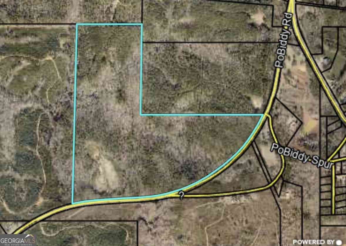 Vacant Land For Sale - 40 ACRES Pobiddy Road<br/> Thomaston, GA 30286