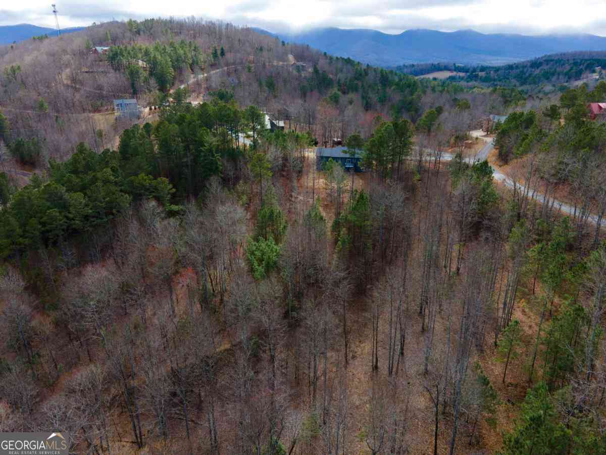 Vacant Land For Sale - 19/20 The Hills At Queens Gap<br/> Blairsville, GA 30512