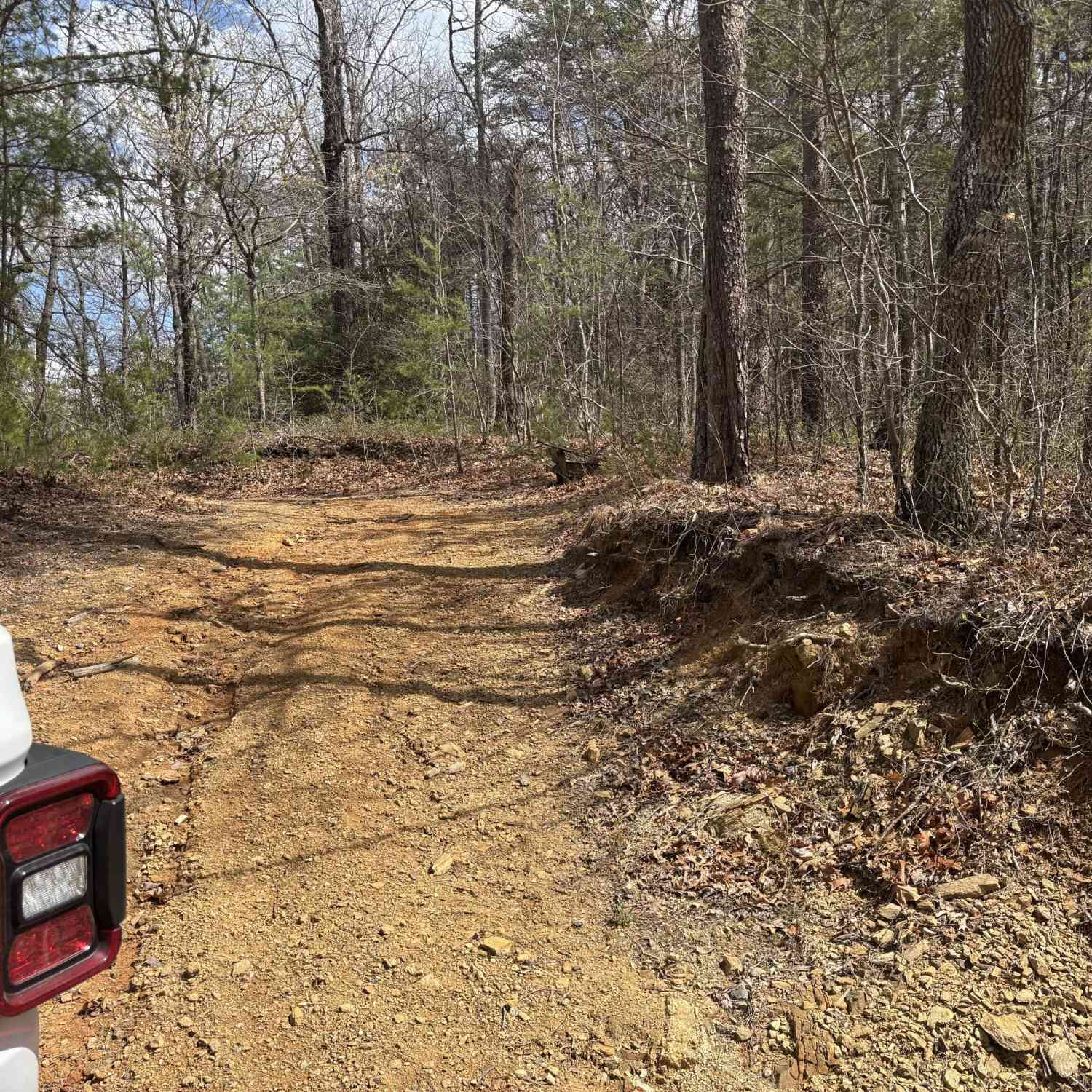 Vacant Land For Sale - Laurel Branch<br/> Dawson County, Dawsonville, GA 30540