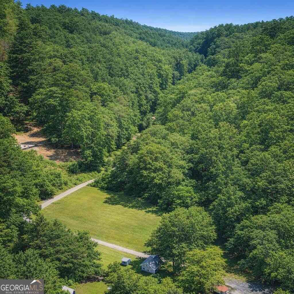 Vacant Land For Sale - S Steel Bridge Road<br/> Putnam County, Eatonton, GA 31024