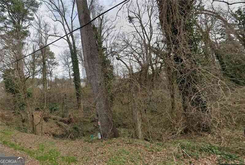 Vacant Land For Sale - Lumpkin Street<br/> Fulton County, East Point, GA 30344