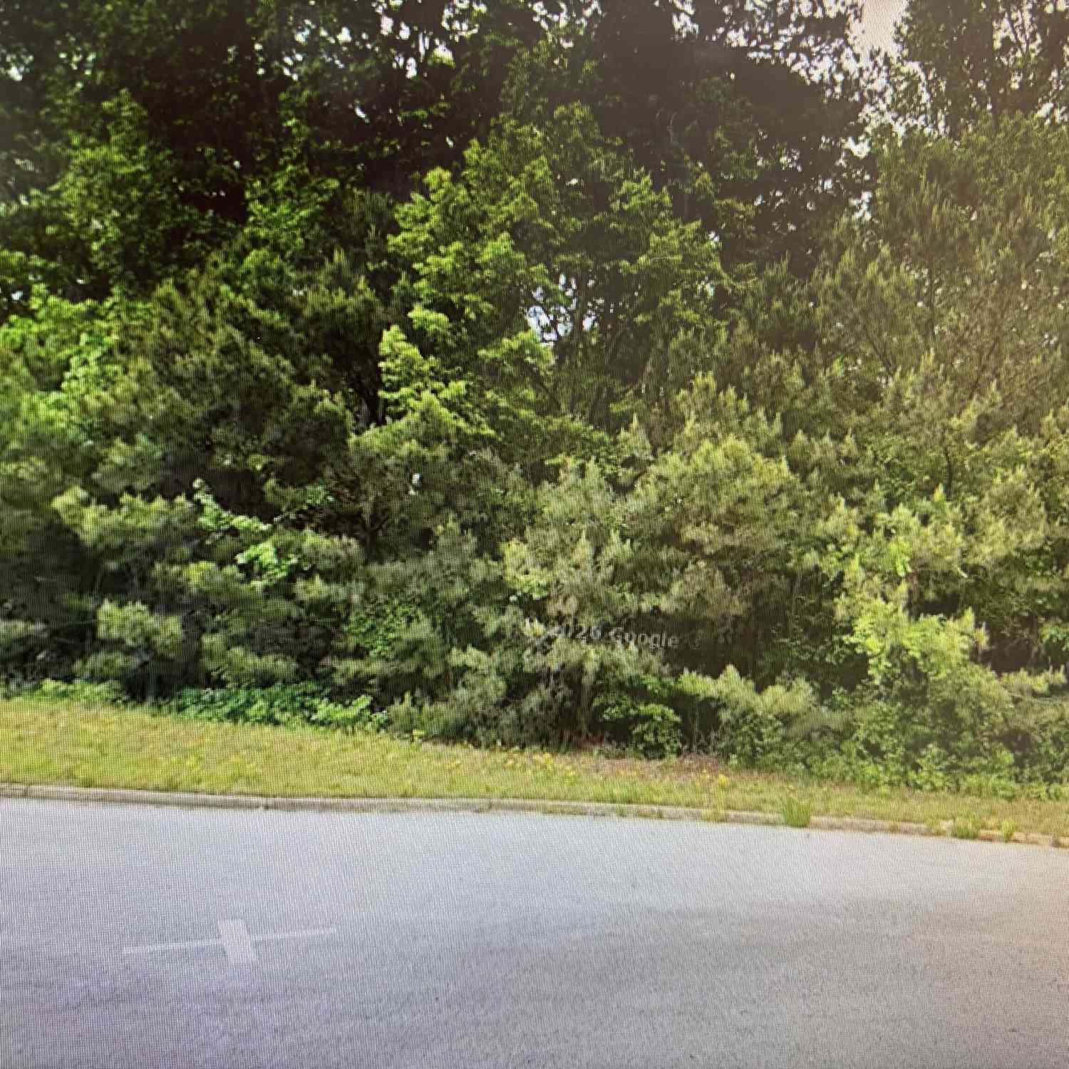 Vacant Land For Sale - 120 Mountain Crest Drive<br/> Newton County, Oxford, GA 30054