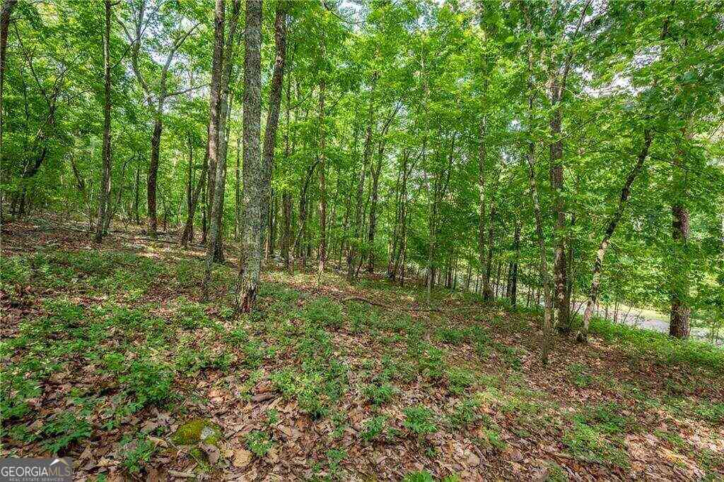 Vacant Land For Sale - 307 Stonehaven Court<br/> Jasper, GA 30143