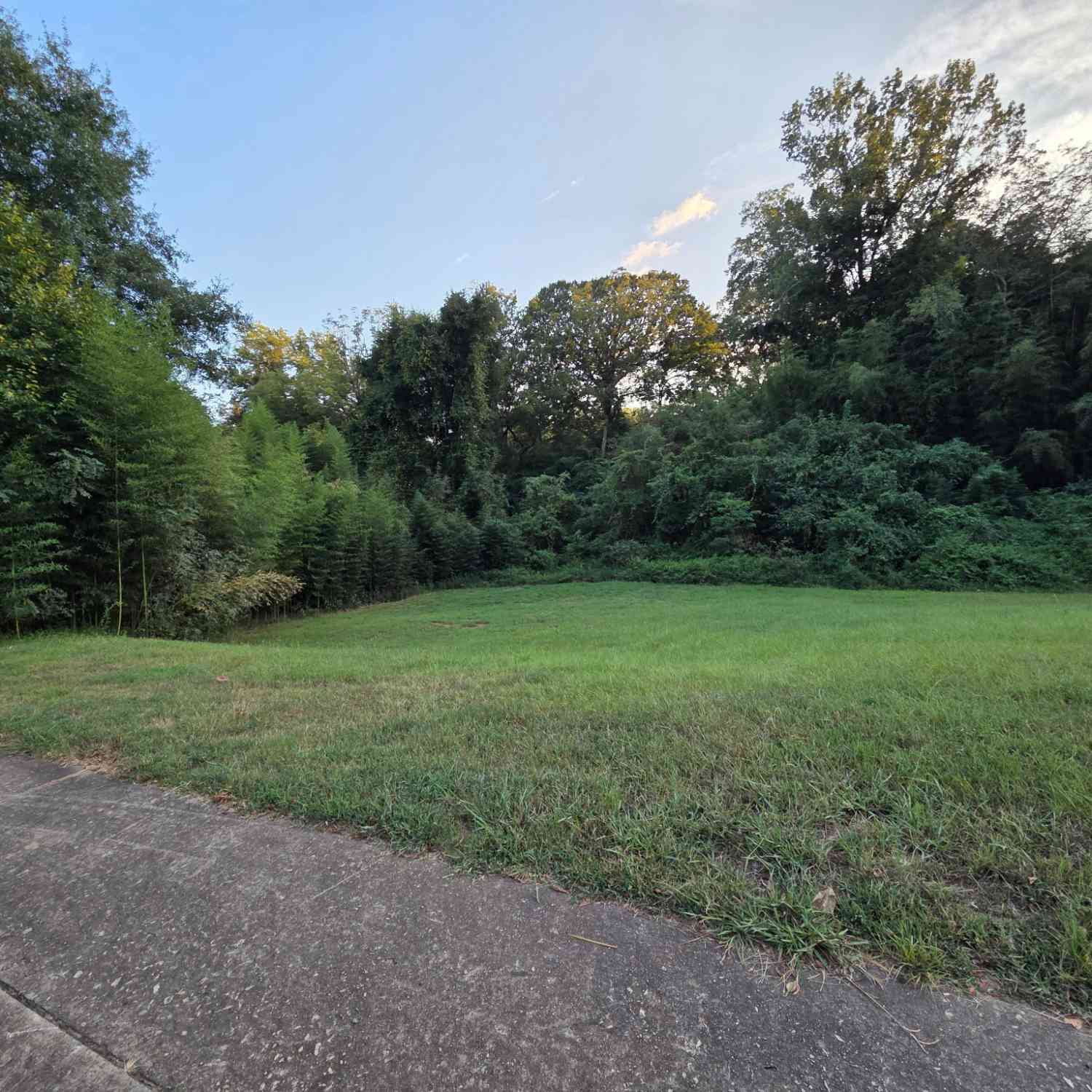 Vacant Land For Sale - 314 Atlanta Street<br/> Barnesville, GA 30204