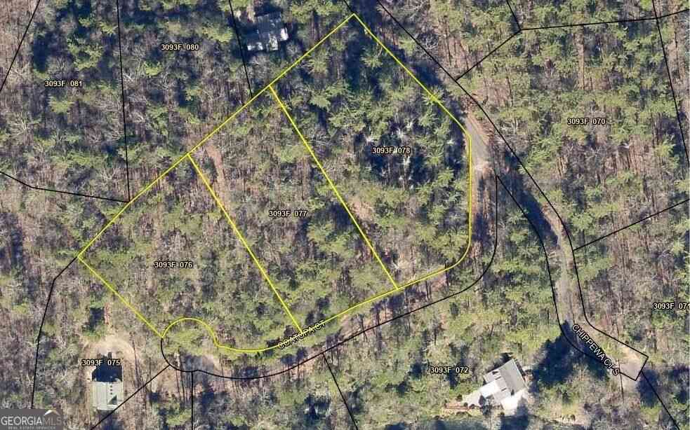 Vacant Land For Sale - Coatopa Court<br/> Gilmer County, Ellijay, GA 30540