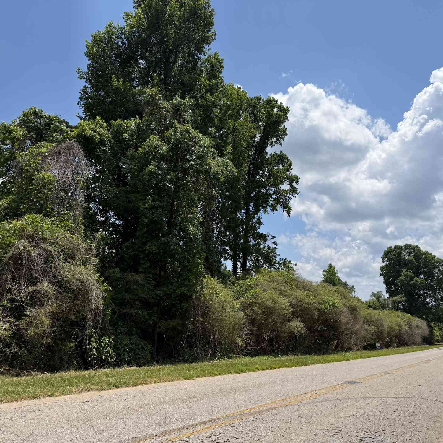 Vacant Land For Sale - County Road 87 #4<br/> Roanoke, AL 36274