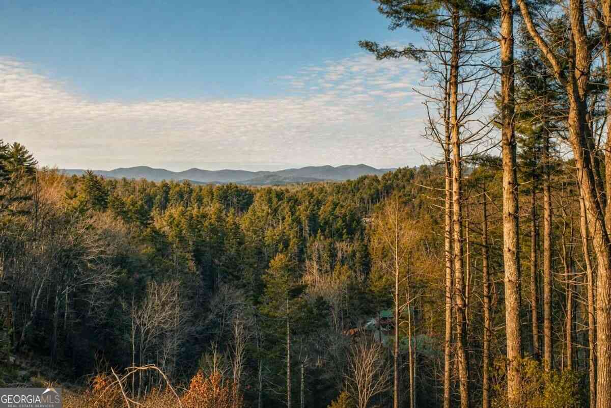 Vacant Land For Sale - River Flow Drive<br/> Dahlonega, GA 30533