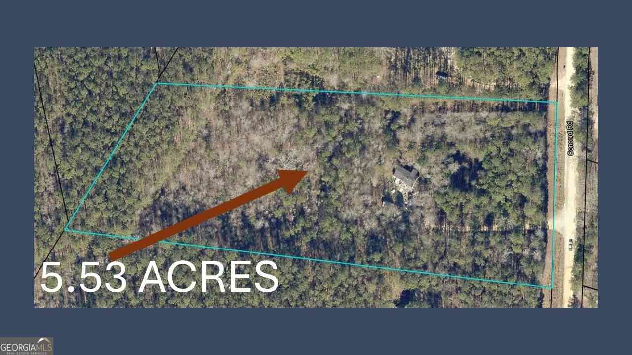 Vacant Land For Sale - 1211 Concord Road<br/> Shady Dale, GA 31085