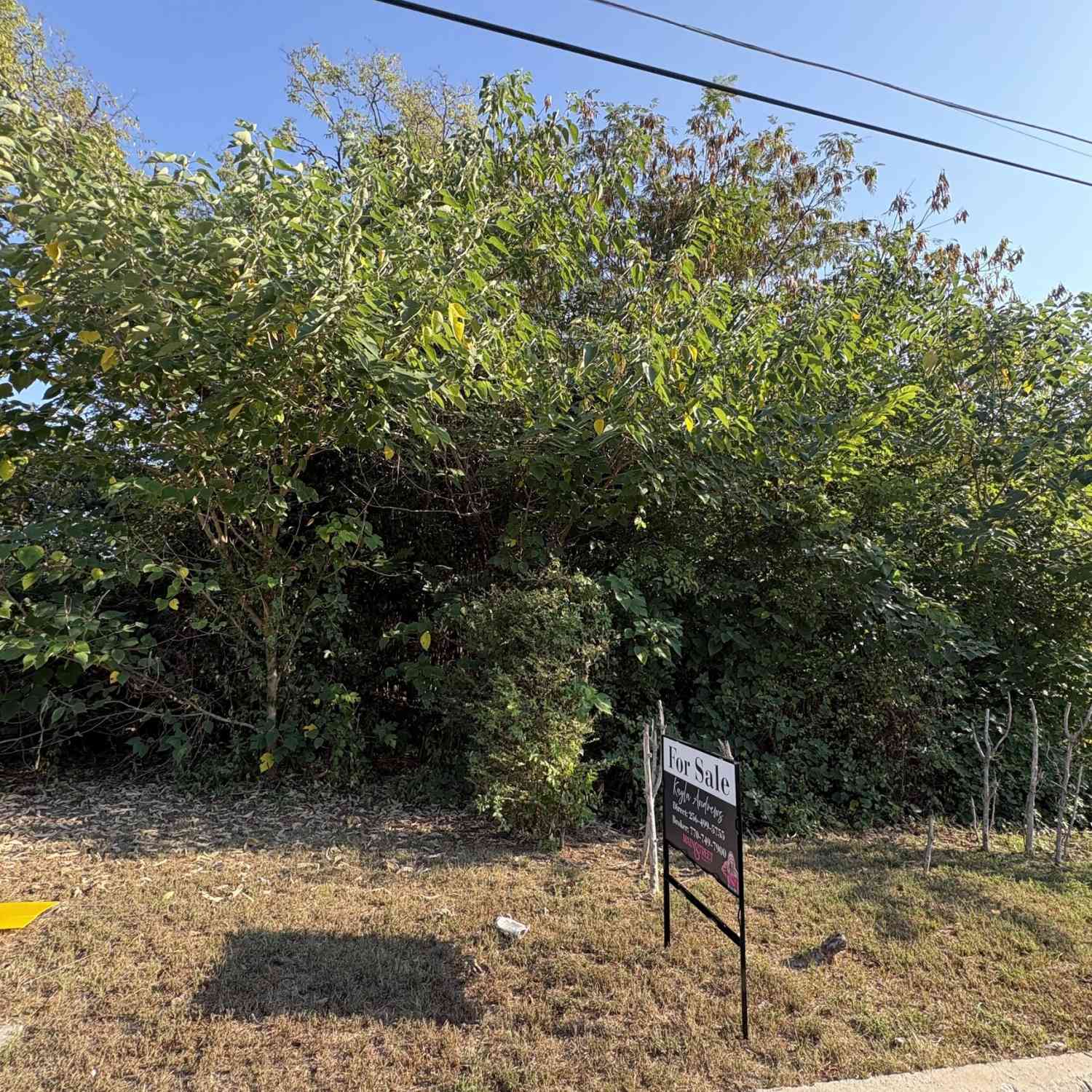 Vacant Land For Sale - 403 Brown Street SW<br/> Rome, GA 30161