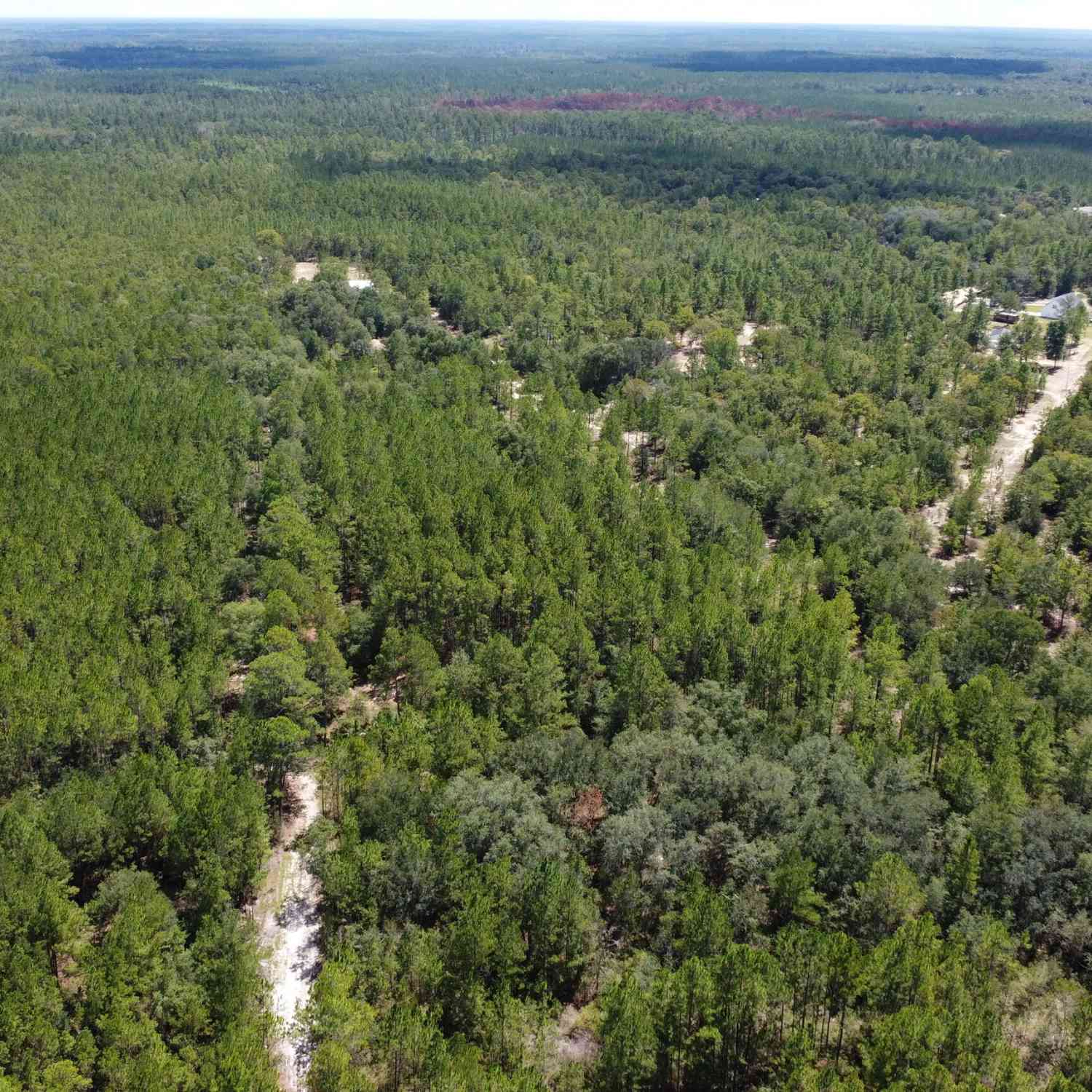Vacant Land For Sale - LOT 1 Porter Road<br/> Pembroke, GA 31321