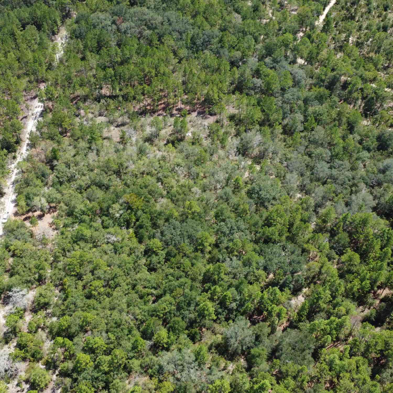 Vacant Land For Sale - LOT 4 Porter Road<br/> Pembroke, GA 31321