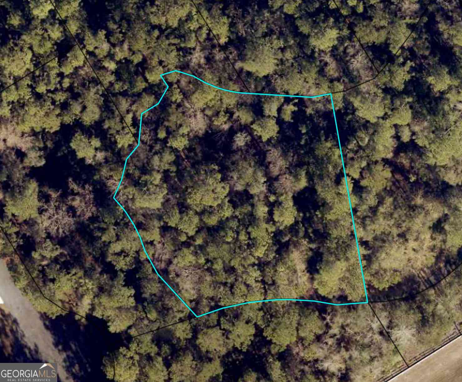 Vacant Land For Sale - 111 Canoe Run<br/> Woodbine, GA 31569