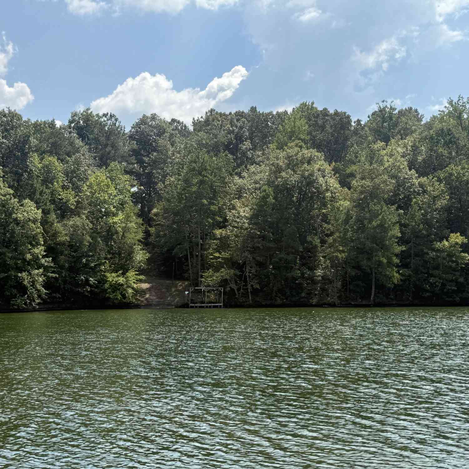 Vacant Land For Sale - 385 Holloway Road<br/> Wedowee, AL 36278
