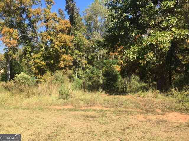 Vacant Land For Sale - 303 High Point Trail<br/> Milledgeville, GA 31061