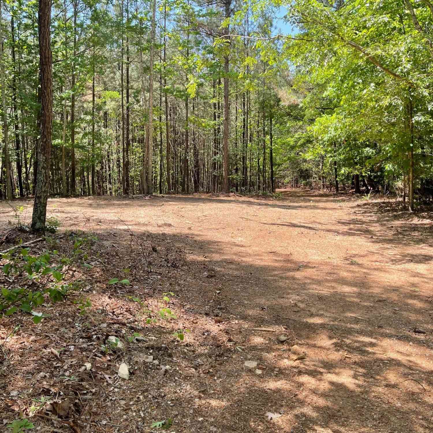 Vacant Land For Sale - TRACT 2 Chalcrest Way<br/> Cave Spring, GA 30124