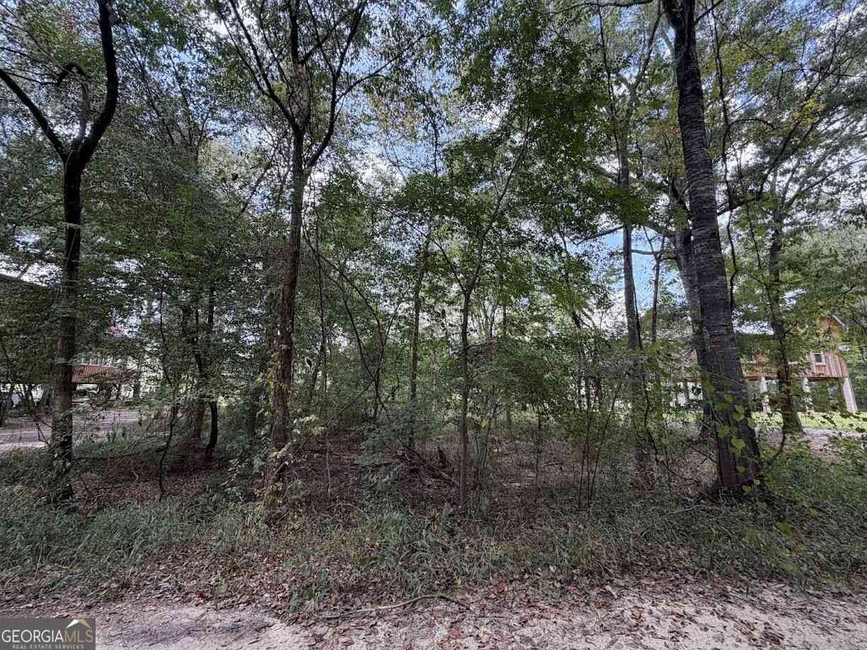 Vacant Land For Sale - 761 Addie's Alley S<br/> Jesup, GA 31545